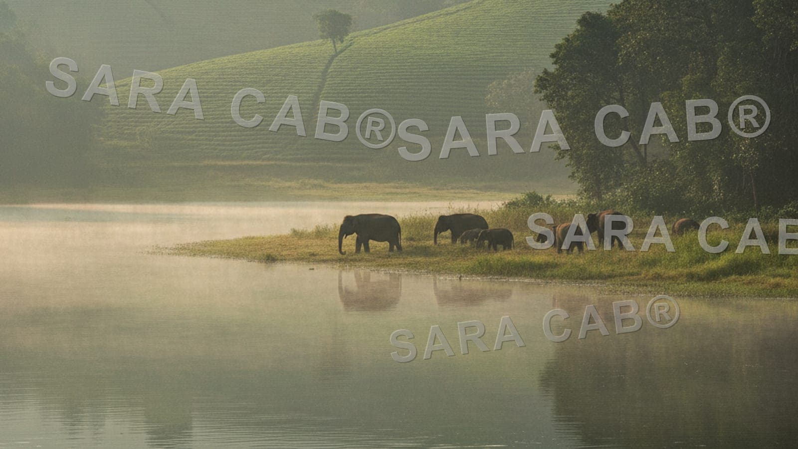 Kabini Wildlife & Wayanad Hills Tour