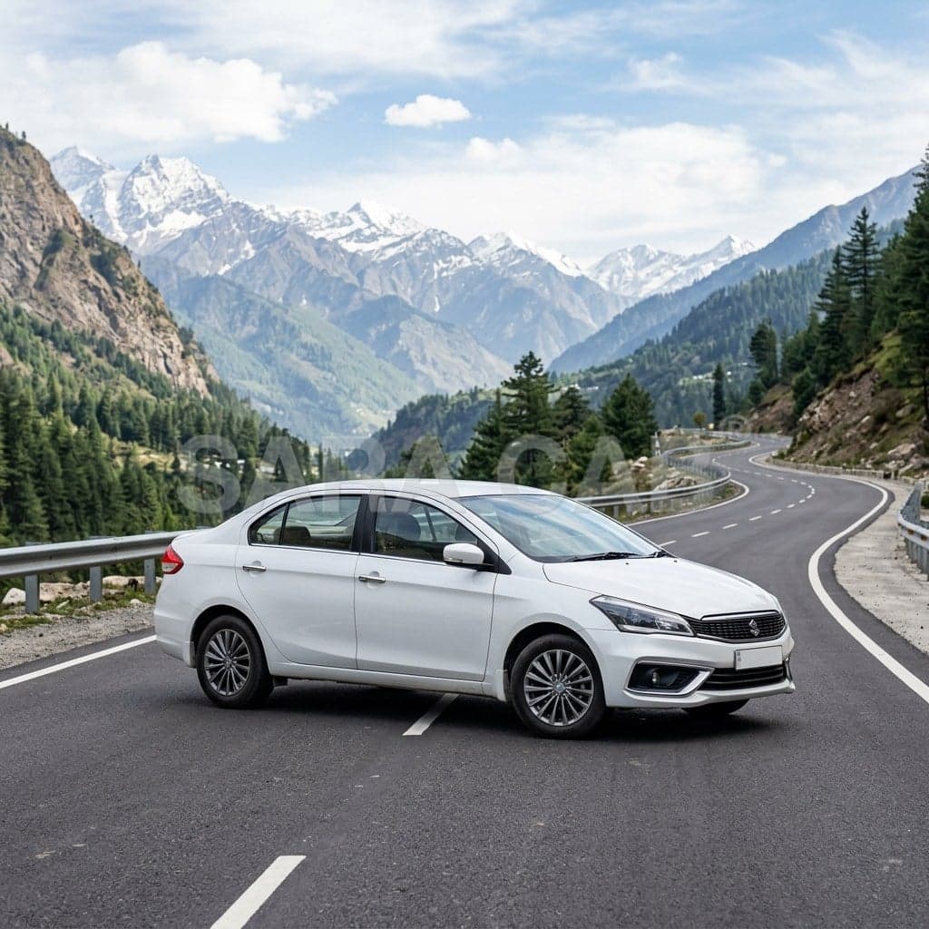 Rental Cars