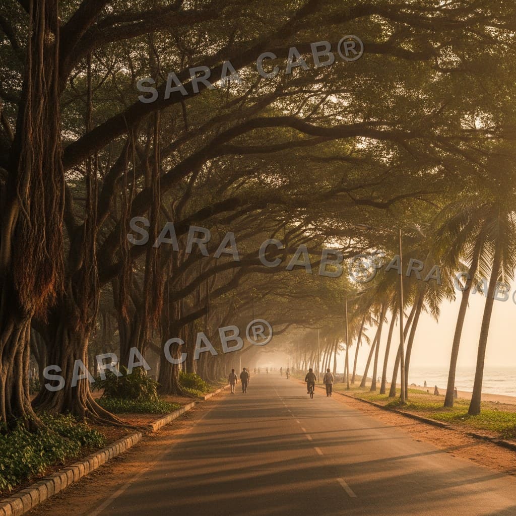Adyar Chennai taxi service