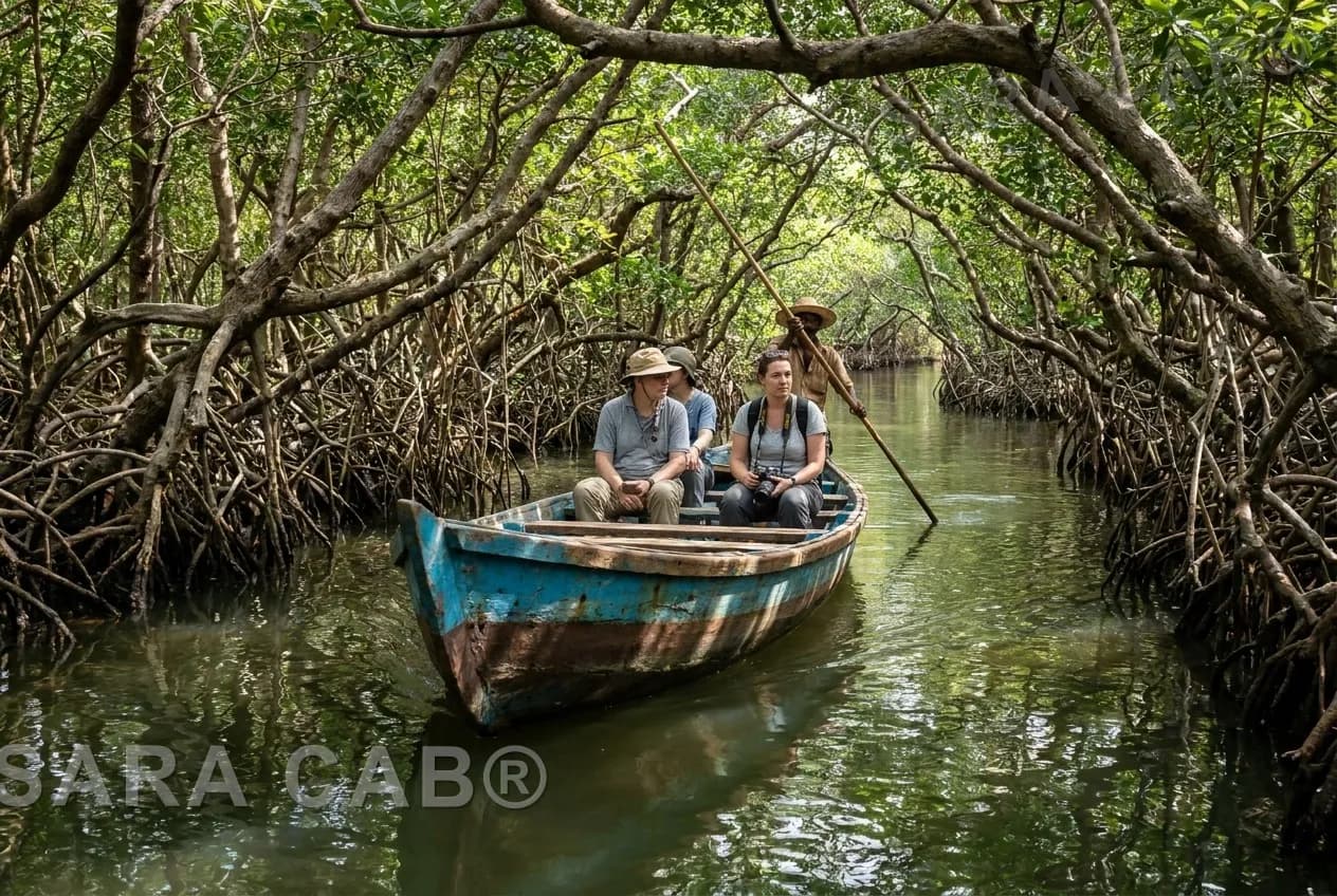 A rowing boat with a boatman and visitors in a narrow channel of the Pichavaram mangrove forest
